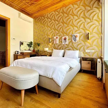 Refurbished Triplex In Taksim Feriehus Istanbul