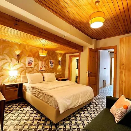 Refurbished Triplex In Taksim Holiday home Istanbul