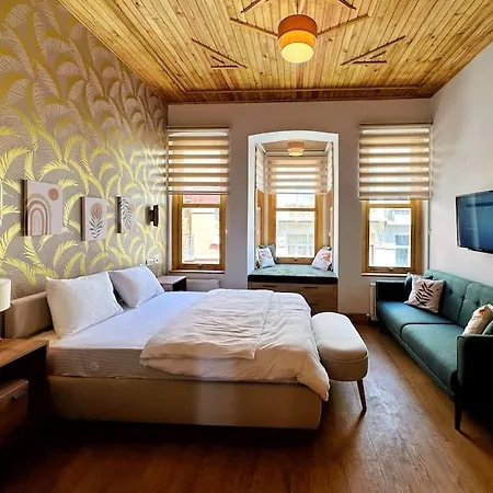 度假居 Refurbished Triplex In Taksim