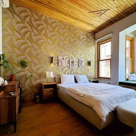 Refurbished Triplex In Taksim 度假居 伊斯坦布尔