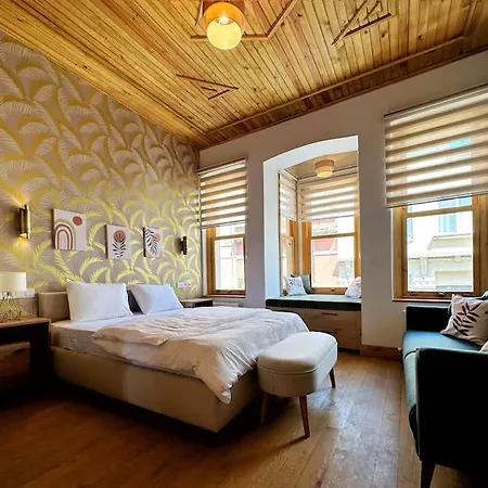 Refurbished Triplex In Taksim * 伊斯坦布尔
