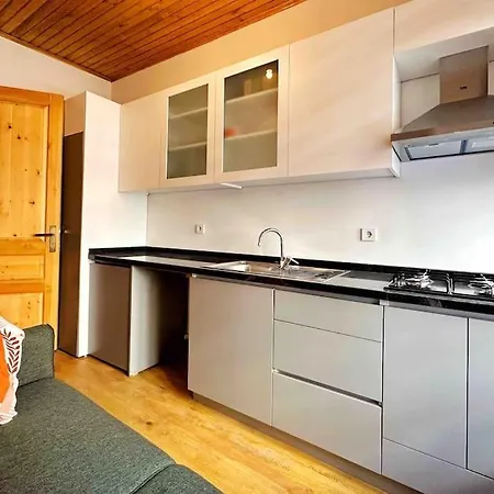 度假居 Refurbished Triplex In Taksim *