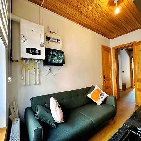 Refurbished Triplex In Taksim 度假居 *