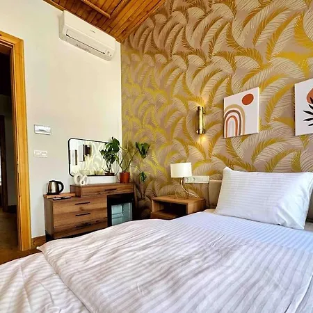 Refurbished Triplex In Taksim 伊斯坦布尔