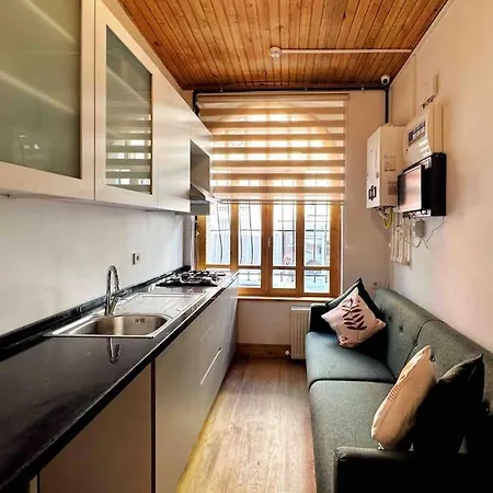 Refurbished Triplex In Taksim Holiday home